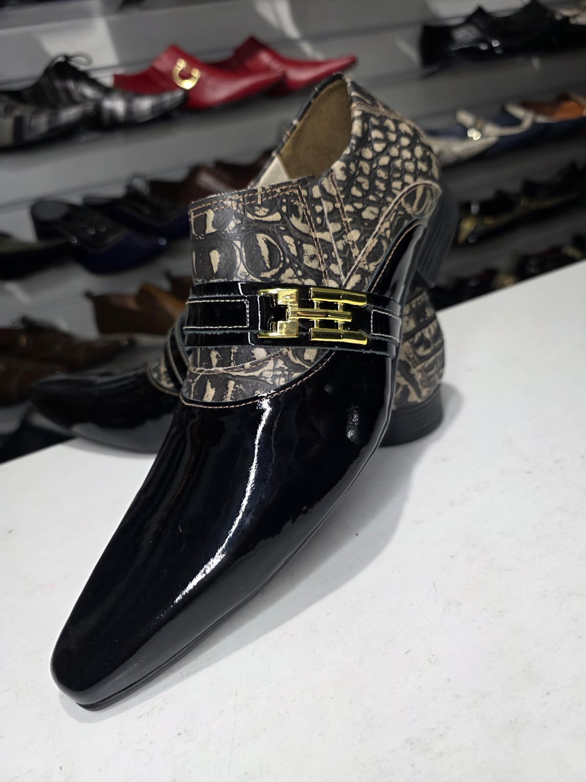 Maier CROCO & VERNIZ