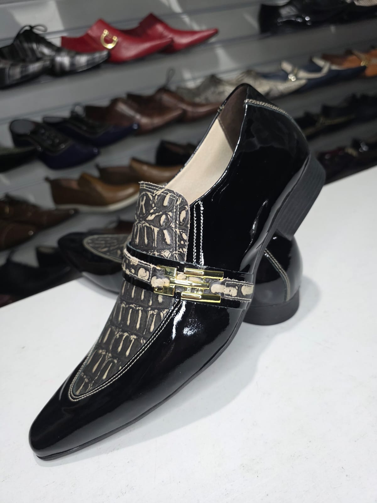 Maier CROCO & VERNIZ