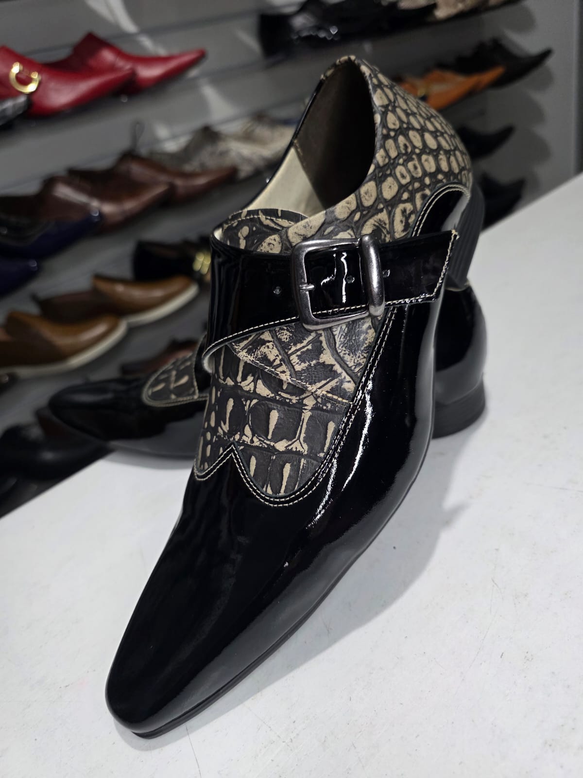 Maier CROCO & VERNIZ