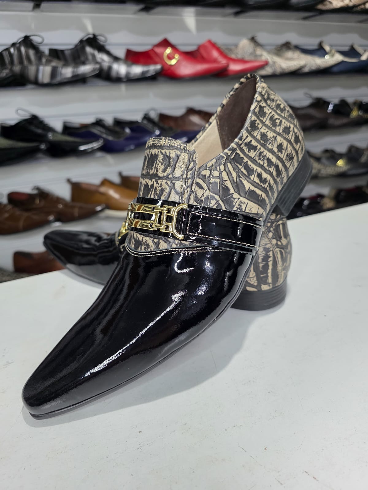 Maier CROCO & VERNIZ