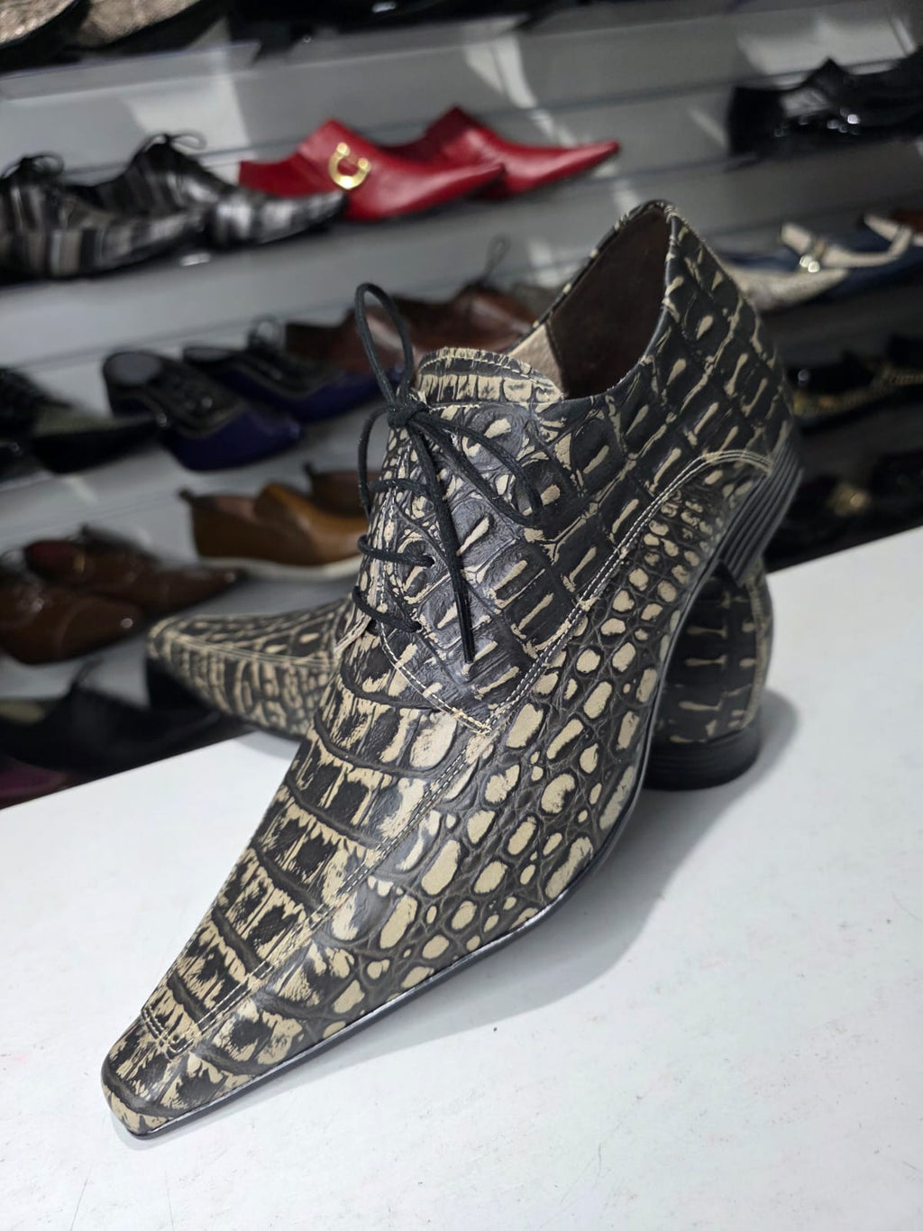 Maier CROCO & VERNIZ