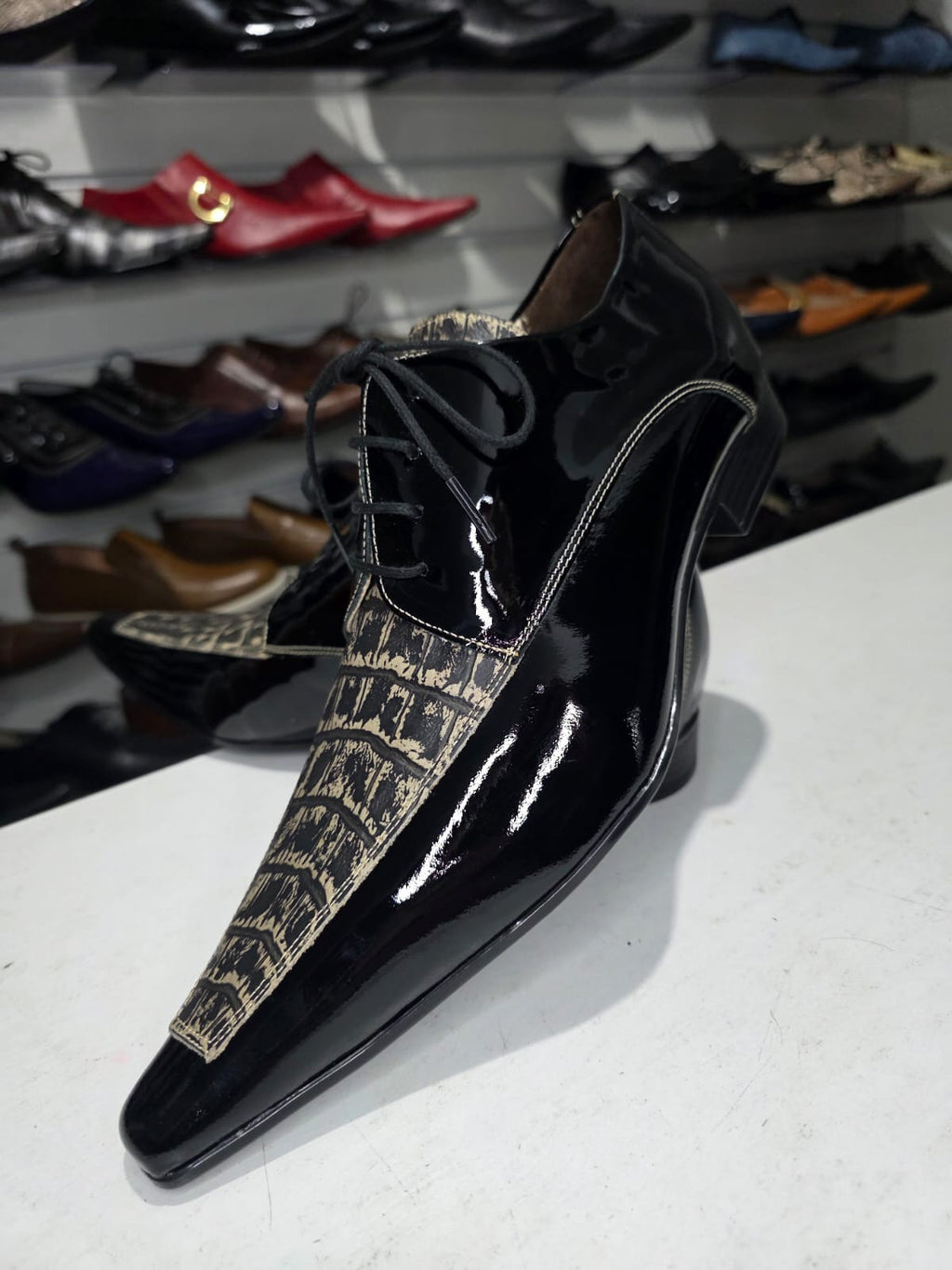 Maier CROCO & VERNIZ